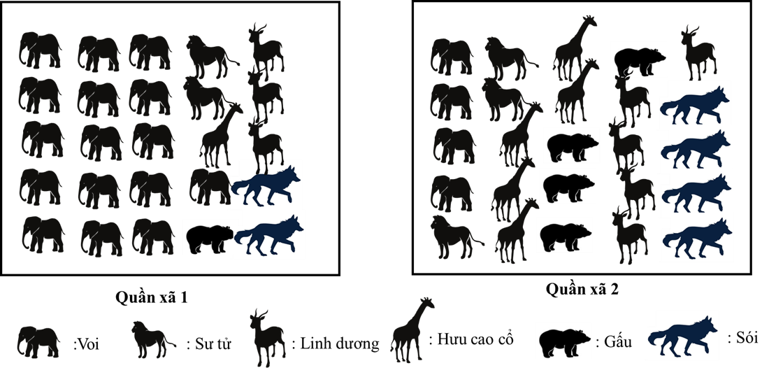 Các nhà khoa học nghiên cứu số lượng các loài trong hai quần xã và ghi chép lại (ảnh 1)