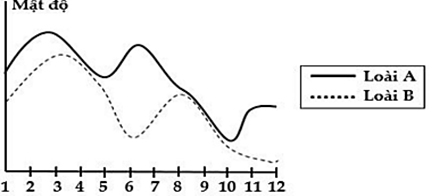 Đồ thị dưới đây mô tả biến động số lượng cá thể của hai loài trong một quần xã (ảnh 1)
