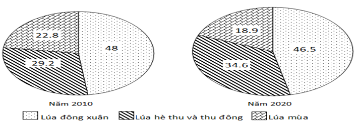 Cho biểu đồ về sản lượng lúa phân theo mùa vụ ở nước ta năm 2010 và 2020 Đơn vị: %)   (Nguồn số liệu theo Niên giám thống kê Việt Nam 2021, NXB Thống kê. 2022) Biểu đồ thể hiện nội dung nào sau đây? (ảnh 1)