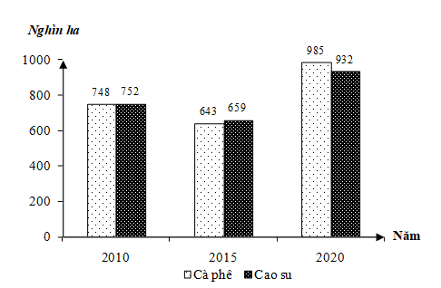 Cho biểu đồ về diện tích cà phê và cao su của nước ta năm 2015 và 2020:   (Số liệu theo niên giám thống kê Việt Nam 2020, NXB Thống kê, 2021) Biểu đồ thể hiện nội dung nào sau đây? (ảnh 1)