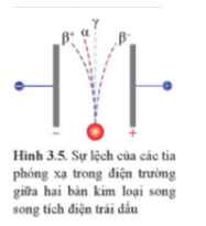 Giải thích sự lệch khác nhau của các tia phóng xạ trong điện trường ở Hình 3.5.   (ảnh 1)