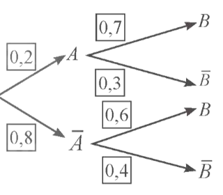 Cho sơ đồ hình cây dưới đây   a) Xác suất của biến cố cả A và B đều không xảy ra là A. 0,32. B. 0,4. C. 0,8. D. 0,92. (ảnh 1)