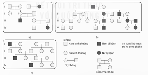 Quan sát Hình 13.1 và cho biết các bệnh di truyền trên hình được di truyền theo kiểu trội hay lặn, gene quy định bệnh nằm trên NST thường hay NST giới tính X. Giải thích. (ảnh 1)