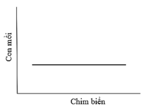 Biểu đồ nào sau đây phù hợp với quan điểm của nhà nghiên cứu 1 về mối quan hệ giữa số lượng con mồi với quần thể chim biển? (ảnh 2)