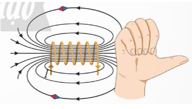 Hãy vẽ phác hình dạng đường sức từ trong vùng không gian xung quanh ống dây khi có dòng điện chạy qua. (ảnh 1)