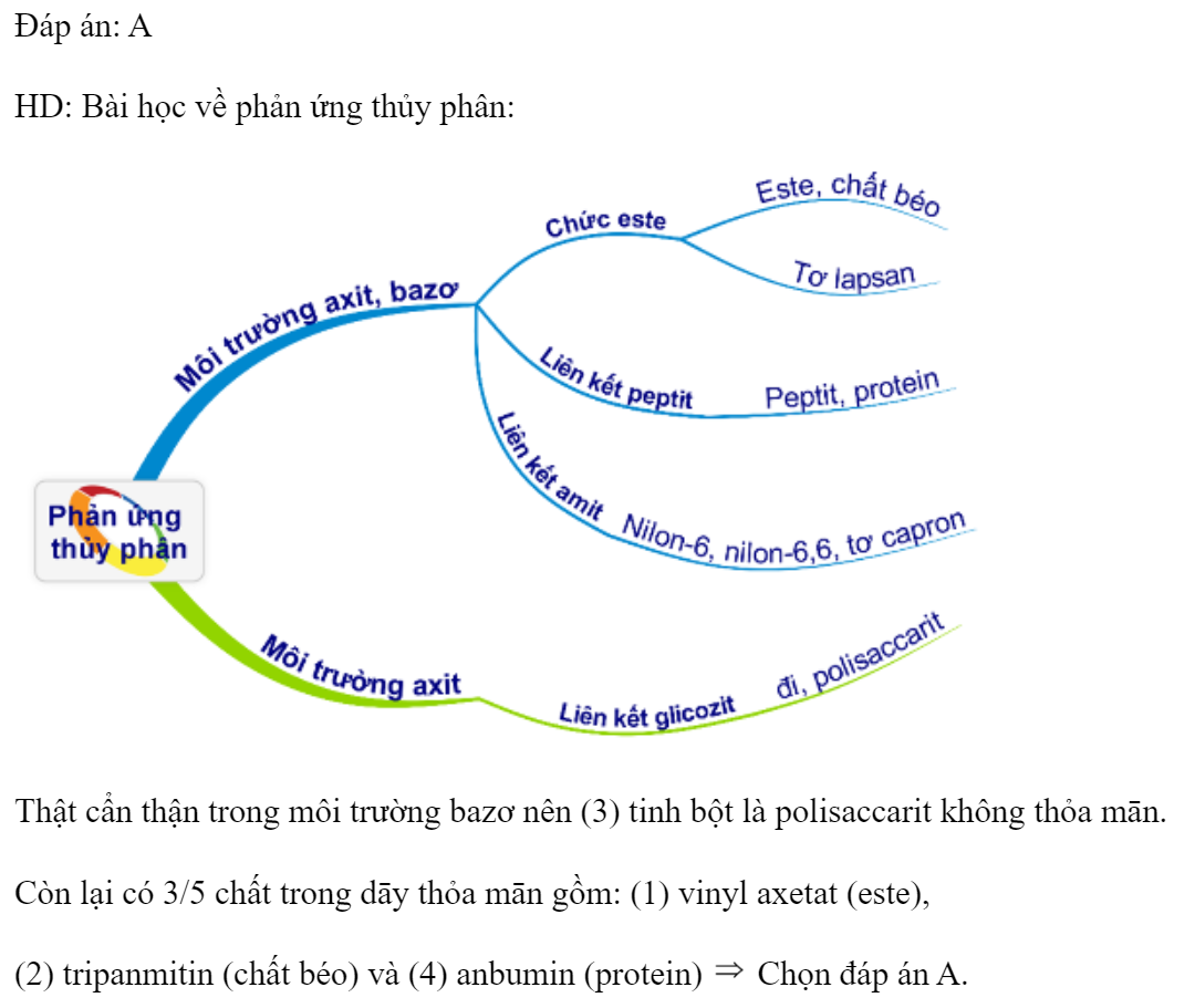 Trong số các chất: (1) vinyl axetat, (2) tripanmitin, (3) tinh bột, (4) anbumin, (5) glyxin. Số chất bị thủy phân khi đun nóng trong môi trường bazơ là 	A. 3.	B. 5.	C. 4.	D. 2. Đáp án: A HD: Bài học về phản ứng thủy phân:  Thật cẩn thận trong môi trường bazơ nên (3) tinh bột là polisaccarit không thỏa mān.  Còn lại có 3/5 chất trong dāy thỏa mān gồm: (1) vinyl axetat (este), (2) tripanmitin (chất béo) và (4) anbumin (protein)  Chọn đáp án A.  (ảnh 1)