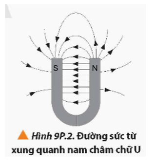 Dựa vào hình ảnh các đường sức từ của nam châm chữ U như Hình 9P.2, em hãy xác định các cực của nam châm này. (ảnh 2)