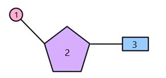 Hình ảnh sau mô tả cấu trúc một đơn phân nucleotit của phân trử AND. Hãy cho biết các thành phần cấu tạo tương ứng trong một nucleotit? (ảnh 1)