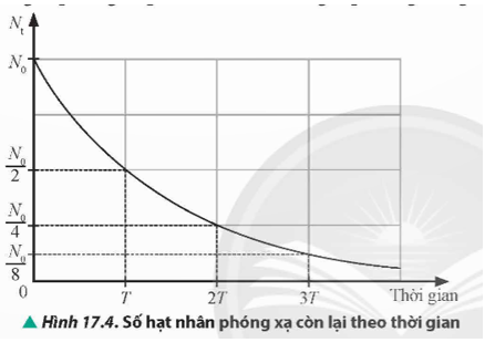 Quan sát Hình 17.4, xác định những thời điểm mà số hạt của chất phóng xạ đã giảm đi và còn lại một nửa, một phần tư và một phần tám so với số hạt ban đầu.   (ảnh 1)