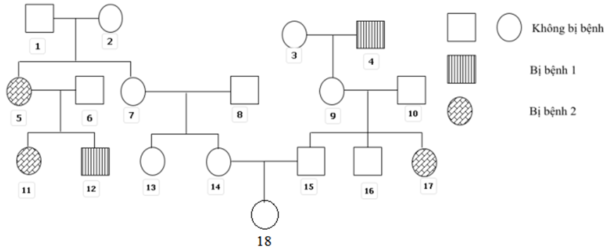 Phả hệ sau đây mô tả sự di truyền của 2 bệnh (ảnh 1)