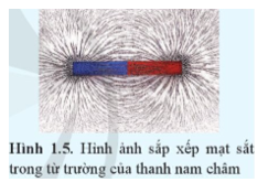 Vì sao mạt sắt trong thí nghiệm Hình 1.5 lại được sắp xếp thành hình dạng nhất định?   (ảnh 1)