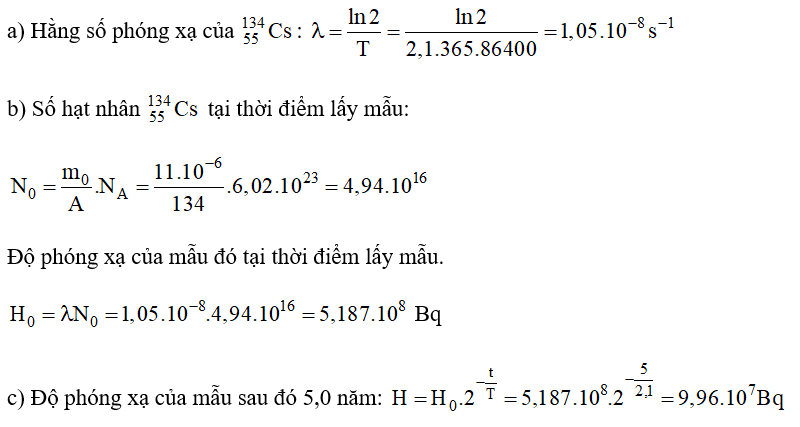 Một phòng thí nghiệm lấy ra một mẫu chất phóng xạ cesium 134 Cs 55 nguyên chất có khối lượng 11 μg (ảnh 1)