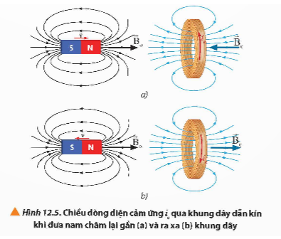 Trong hiện tượng cảm ứng điện từ như thí nghiệm ở Hình 12.5, có sự chuyển hóa từ dạng năng lượng nào sang điện năng?   (ảnh 1)