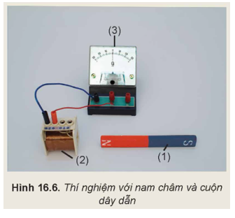 Chuẩn bị: Nam châm (1), cuộn dây (2), điện kế (3) và các dây dẫn. (ảnh 1)