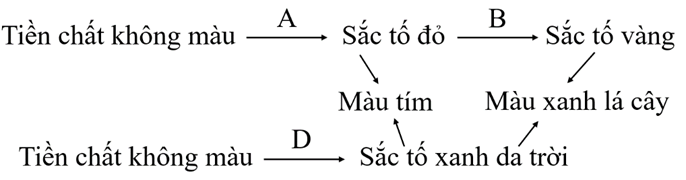 Ở 1 loài vẹt, tính trạng màu sắc lông do ba cặp gen Aa, Bb, Dd phân li độc lập  (ảnh 1)