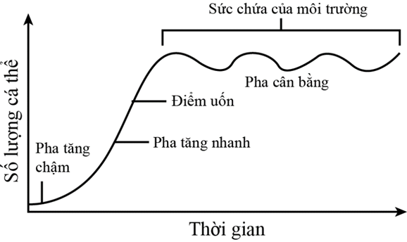 Sự tăng trưởng kích thước của một quần thể cá rô được mô tả bằng đồ thị sau: (ảnh 1)