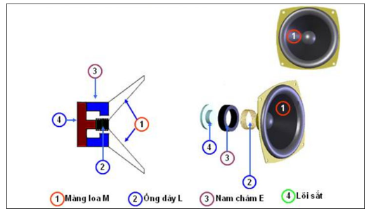 Dựa vào kiến thức đã học về lực từ cũng như tìm hiểu trên sách, báo, internet, ... em hãy trình bày sơ lược về cấu tạo và nguyên lí hoạt động của loa điện động. (ảnh 1)