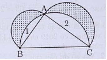 Cho tam giác ABC vuông ở A, có AB = 3 cm, AC = 4 cm, BC = 5 cm. Tính diện tích phần tô đậm. (ảnh 2)