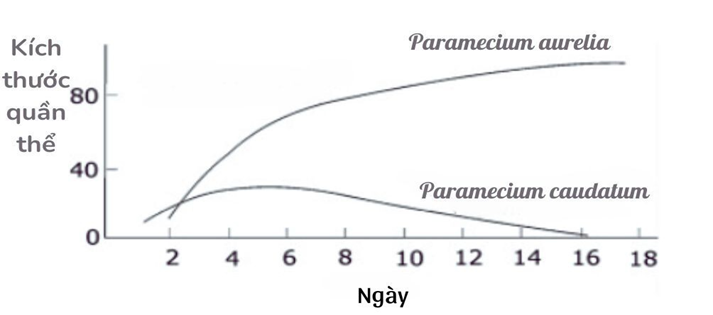Đồ thị dưới đây cho thấy tốc độ tăng trưởng hai loài động vật nguyên sinh  (ảnh 1)