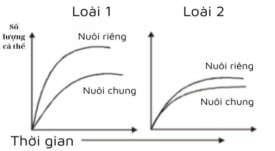 Một thí nghiệm nghiên cứu sự sinh trưởng và phát triển số lượng cá thể  (ảnh 1)