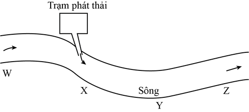 Một công ty thường xuyên xả nước thải ra ngoài sông qua các trạm phát thải (ảnh 1)