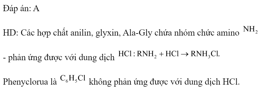 Chất không phản ứng với dung dịch HCl là 	A. phenylclorua.		B. anilin. 	C. glyxin.		D. Ala-Gly. Đáp án: A HD: Các hợp chất anilin, glyxin, Ala-Gly chứa nhóm chức amino  - phản ứng được với dung dịch  Phenyclorua là  không phản ứng được với dung dịch HCl. (ảnh 1)