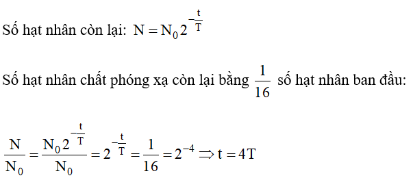 Sau khoảng thời gian là bao nhiêu chu kì bán rã thì số hạt nhân chất phóng xạ còn lại bằng 1/16  số hạt nhân ban đầu? (ảnh 1)