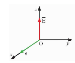 Xác định vectơ cảm ứng từ vecto B của sóng điện từ tại một thời điểm trong Hình 12.10.  (ảnh 1)