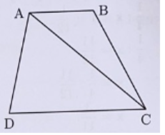 Hình thang ABCD có đáy CD dài gấp đôi đáy AB và diện tích là 63 cm3. Tính diện tích tam giác ABC. (ảnh 1)