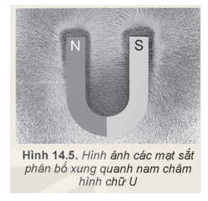 Chuẩn bị:  - Hộp nhựa có một mặt trong suốt, bên trong chứa dầu và mạt sắt mịn.  - Nam châm thẳng.  - Nam châm hình chữ U. (ảnh 2)