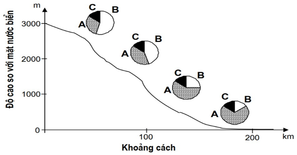 Khi nghiên cứu một loài ruồi giấm có ba nòi A, B, C (ảnh 1)