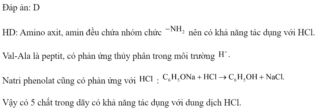 Cho dãy gồm các chất: (1) axit a - aminoaxetic, (2) axit a - aminoglutaric (3) đimetylamin, (4) Val-Ala, (5) natri phenolat. Số chất có khả năng tác dụng với dung dịch HCl là 	A. 3.	B. 2.	C. 4.	D. 5. Đáp án: D HD: Amino axit, amin đều chứa nhóm chức  nên có khả năng tác dụng với HCl. Val-Ala là peptit, có phản ứng thủy phân trong môi trường  Natri phenolat cũng có phản ứng với  :  Vậy có 5 chất trong dāy có khả năng tác dụng với dung dịch HCl. (ảnh 1)