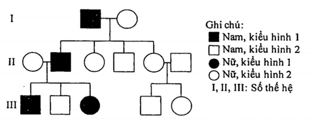 Cho phả hệ về sự di truyền một tính trạng đơn gen ở người như hình bên (ảnh 1)
