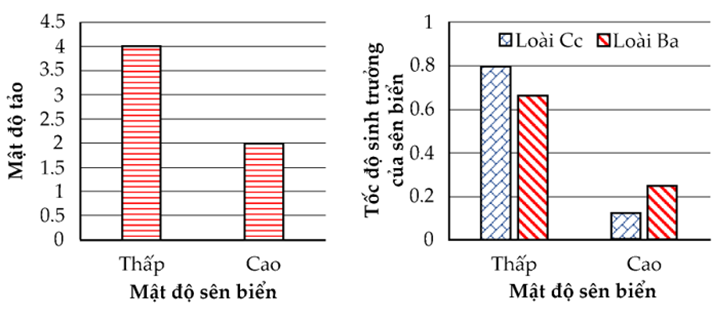 Một hệ sinh thái có hai loài sên biển Ba và Cc là động vật ăn tảo cùng sinh sống (ảnh 1)