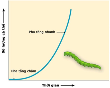 Nghiên cứu tăng trưởng của một quần thể sinh vật trong một khoảng thời gian nhất định (ảnh 1)