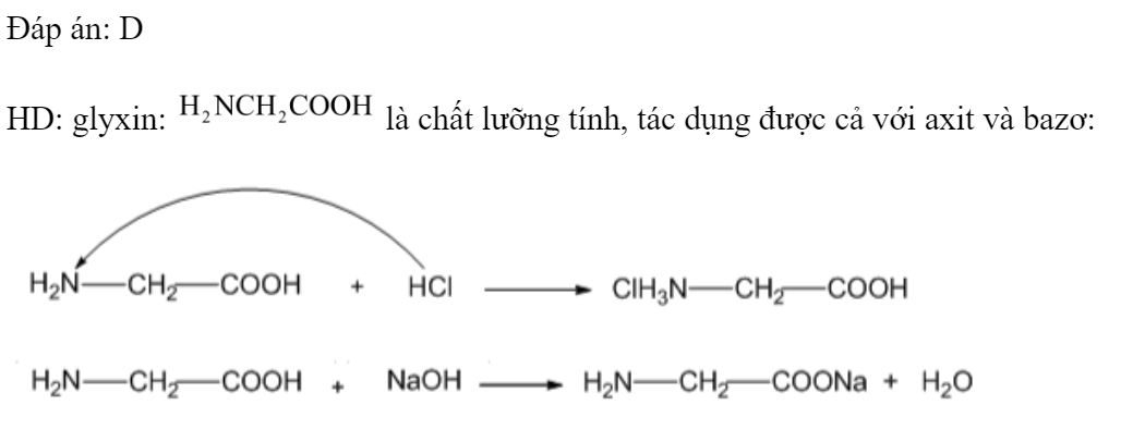 Chất X vừa tác dụng được với axit, vừa tác dụng được với bazơ. Chất X là 	A. 		B.  	C. 		D.  Đáp án: D HD: glyxin:  là chất lưỡng tính, tác dụng được cả với axit và bazơ: (ảnh 1)
