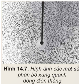 Chuẩn bị:  - Hộp nhựa có một mặt trong suốt, bên trong chứa dầu và mạt sắt mịn.  - Ống dây gắn với hộp nhựa.  - Dây dẫn thẳng.  - Nguồn điện một chiều. (ảnh 2)