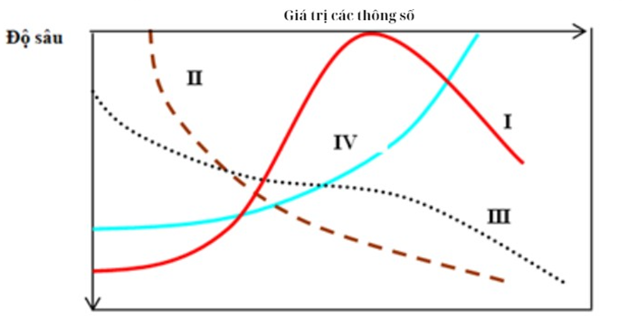 Trong một hồ tự nhiên khi quá giàu dưỡng, các khảo sát đã ghi được một số thông số cơ bản (ảnh 1)