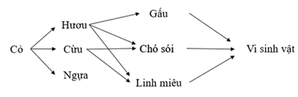 Sinh vật nào có mức năng lượng lớn nhất trong lưới thức ăn sau đây? (ảnh 1)