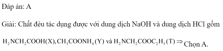 Cho các chất sau:   Dãy gồm các chất đều tác dụng được với dung dịch  và dung dịch HCl là: 	A. X, Y, T.		B. Y, Z, T. 	C. X, Y, Z.		D. X, Y, Z, T. Đáp án: A Giải: Chất đèu tác dụng được với dung dịch NaOH và dung dịch HCl gồm Chọn A. (ảnh 2)