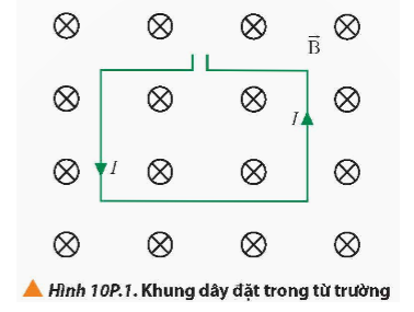 Đặt một khung dây dẫn hình chữ nhật mang dòng điện có cường độ I trong từ trường đều có vectơ cảm ứng từ vuông góc với mặt phẳng khung dây như Hình 10P.1. Xác định lực từ tác dụng lên các cạnh của khung dây. (ảnh 1)