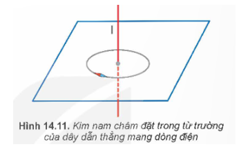 Đặt một kim nam châm nhỏ trên mặt phẳng vuông góc với dòng điện thẳng. Khi cân bằng, kim nam châm nằm ở vị trí như Hình 14.11. Hãy xác định chiều của dòng điện chạy qua dây dẫn. (ảnh 1)