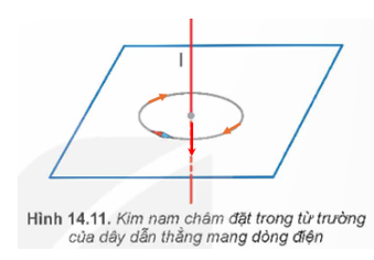 Đặt một kim nam châm nhỏ trên mặt phẳng vuông góc với dòng điện thẳng. Khi cân bằng, kim nam châm nằm ở vị trí như Hình 14.11. Hãy xác định chiều của dòng điện chạy qua dây dẫn. (ảnh 2)