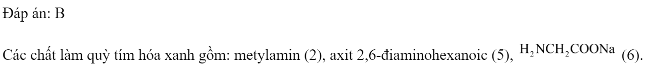 Cho các dung dịch riêng biệt chứa các chất: anilin (1), metylamin (2), glyxin (3), axit glutamic (4), axit 2,6-điaminohexanoic (5), H2NCH2COONa (6). Số dung dịch làm quỳ tím hoá xanh là 	A. 2.	B. 3.	C. 4.	D. 5. Đáp án: B Các chất làm quỳ tím hóa xanh gồm: metylamin (2), axit 2,6-điaminohexanoic (5),  (6). (ảnh 1)