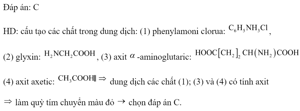 Cho dãy gồm các dung dịch: (1) phenylamoni clorua, (2) glyxin, (3) axit a -aminoglutaric, (4) axit axetic. Số dung dịch làm quỳ tím chuyển màu đỏ là 	A. 4.	B. 1.	C. 3.	D. 2. Đáp án: C HD: cấu tạo các chất trong dung dịch: (1) phenylamoni clorua: , (2) glyxin: , (3) axit -aminoglutaric:  (4) axit axetic:  dung dịch các chất (1); (3) và (4) có tính axit  làm quỳ tím chuyển màu đỏ  chọn đáp án C. (ảnh 1)