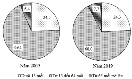 Theo biểu đồ, nhận xét nào sau đây đúng với cơ cấu và sự thay đổi cơ cấu dân số phân theo nhóm tuổi của nước ta năm 2019 so với năm 2009 (ảnh 1)