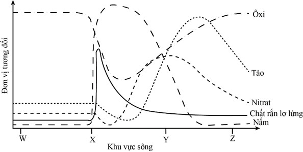 Một công ty thường xuyên xả nước thải ra ngoài sông qua các trạm phát thải (ảnh 2)