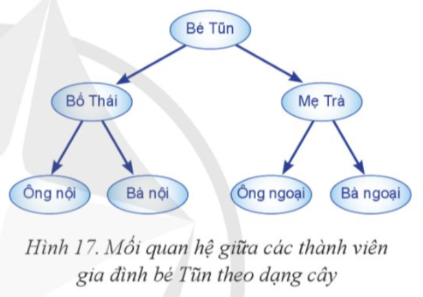 Em hãy đưa ra danh sách các thành viên gia đình có mối quan hệ được biểu diễn dưới dạng cây trong Hình 17 (còn được gọi là cây phả hệ ngược) theo các thứ tự trước, sau và giữa. (ảnh 1)