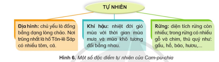 • Quan sát các hình 5, 6, em hãy trình bày một số đặc điểm cơ bản về tự nhiên của Cam-pu-chia. • Đọc thông tin, em hãy trình bày một số đặc điểm cơ bản về dân cư của Cam-pu-chia. (ảnh 2)