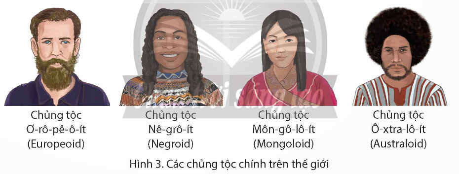 Đọc thông tin và quan sát các hình 3, 4, em hãy:  - Cho biết tên các chủng tộc chính trên thế giới.  - Mô tả một số nét chính về ngoại hình của các chủng tộc.  - Xác định trên lược đồ sự phân bố các chủng tộc chính trên thế giới. (ảnh 1)